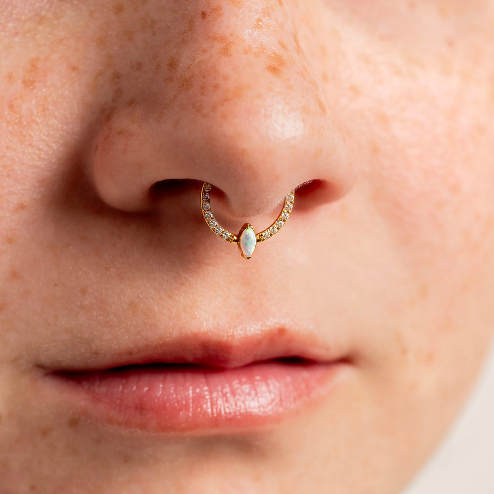 Where to get good nose rings sales