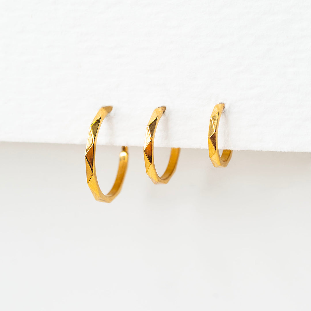 Milo Faceted Hinged Segment Ring - Titanium Clicker Hoop for Noses