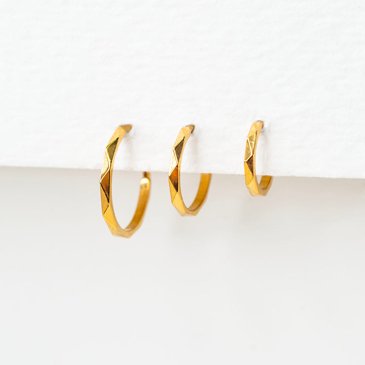 Milo Faceted Hinged Segment Ring - Titanium Clicker Hoop for Noses