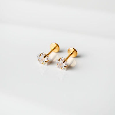 Niall Prong Set Star Titanium Flat Back Sleeper Earrings