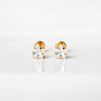 Niall Prong Set Star Titanium Flat Back Sleeper Earrings