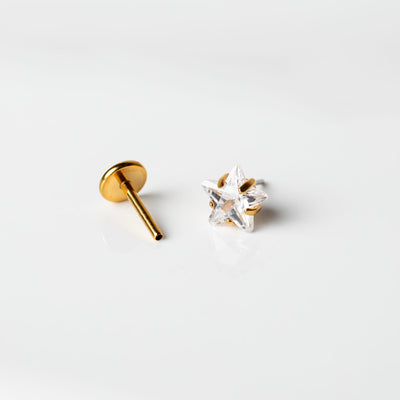 Niall Prong Set Star Titanium Flat Back Sleeper Earrings