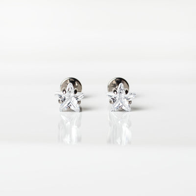 Niall Prong Set Star Titanium Flat Back Sleeper Earrings