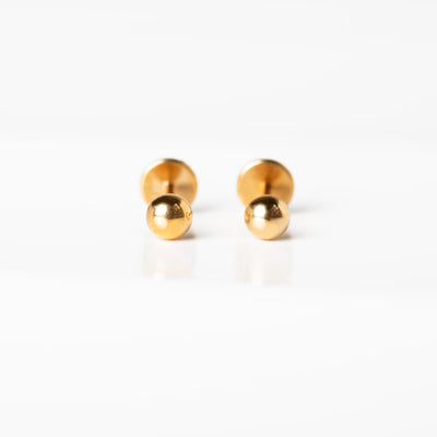 Sammi Domed Disc Titanium Flat Back Sleeper Earrings
