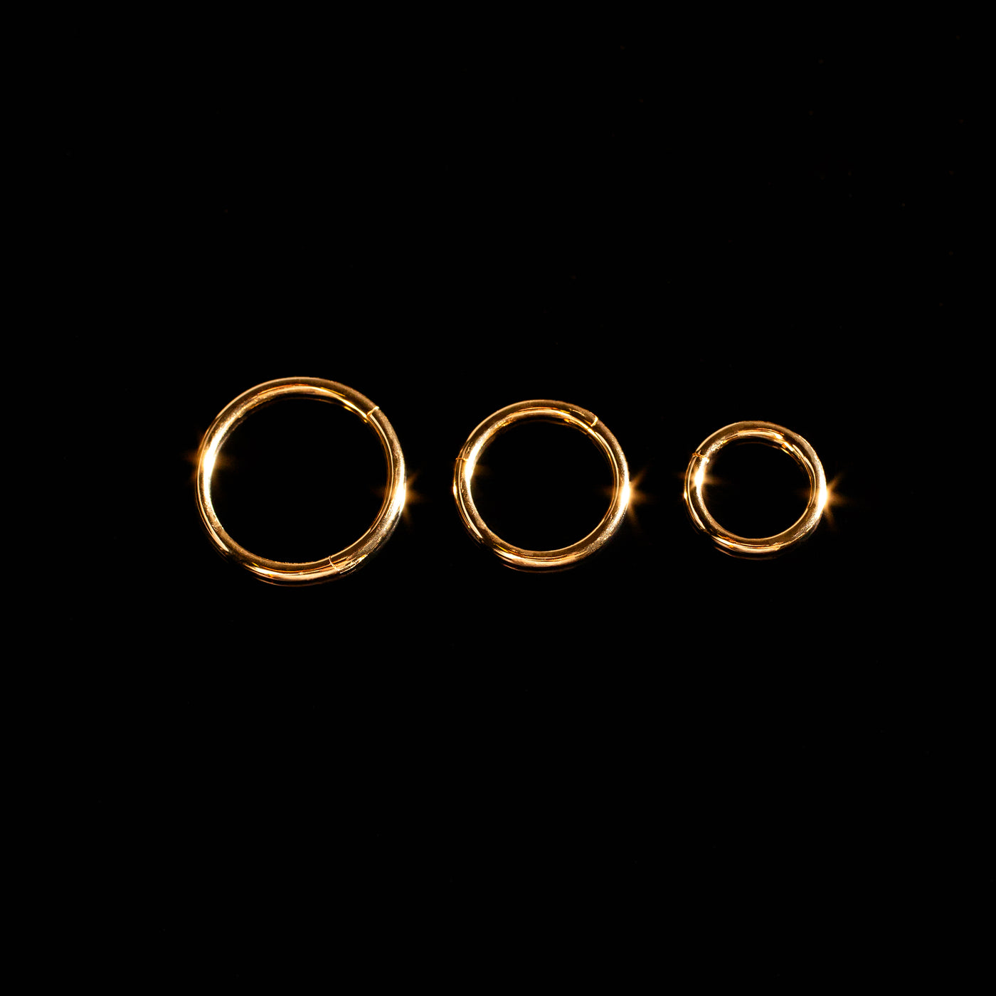 Miki Smooth Hinged Segment Ring -  14K Solid Gold Clicker Hoop for Noses, Ears + Cartilage