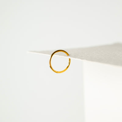 Mya Titanium Hinged Segment Ring - Hoop For Noses, Ears + More