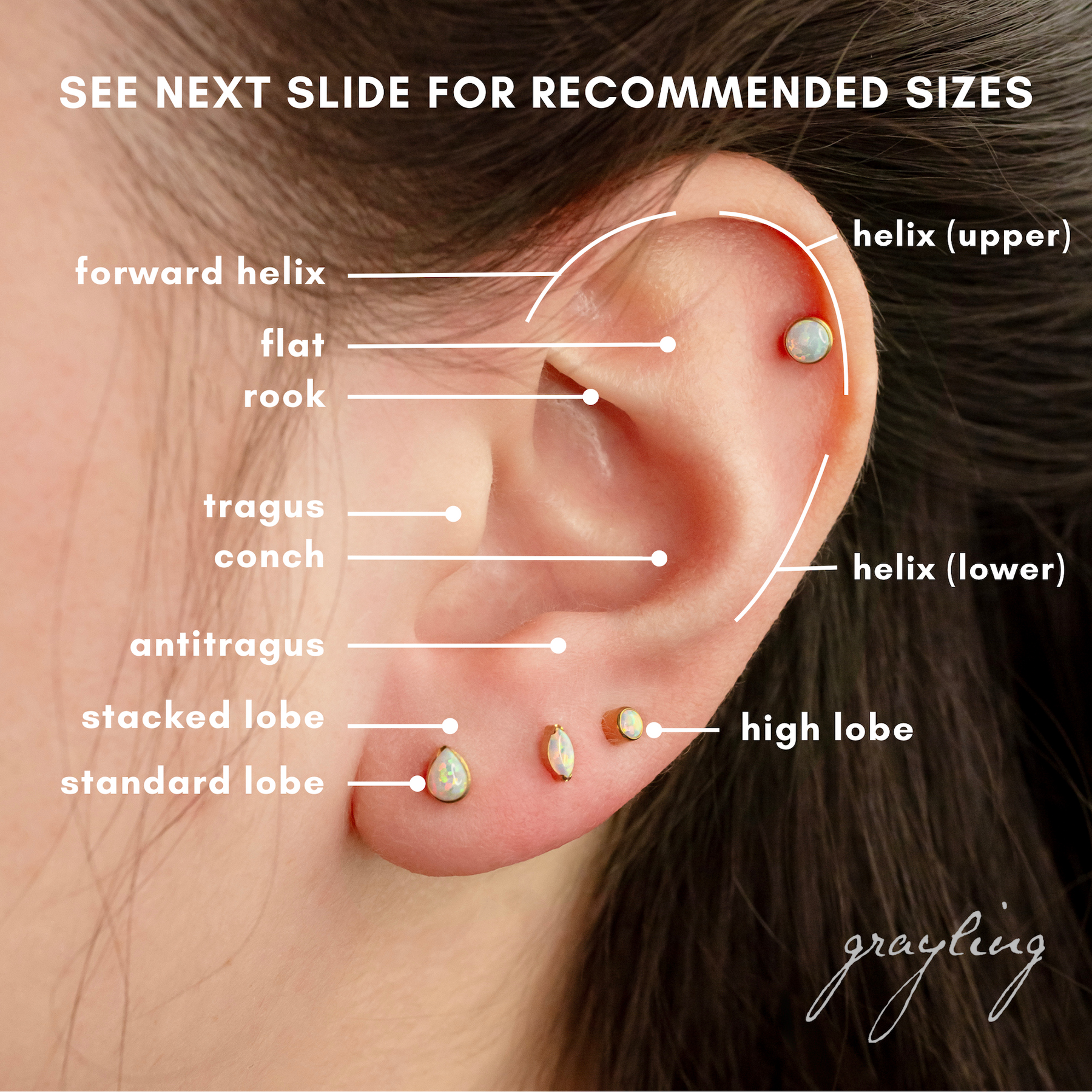 Piercing Placement Cartilage Flat Piercing 2x Flat Piercing In